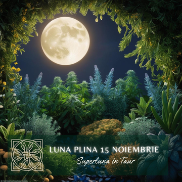 Luna Plină în Taur 15 Noiembrie 2024 – Stabilitate și Transformare