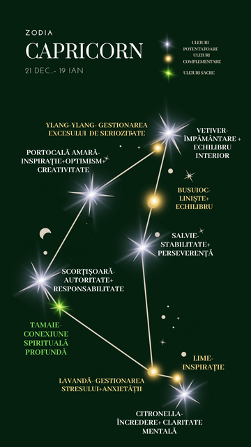 Constelatie Capricorn